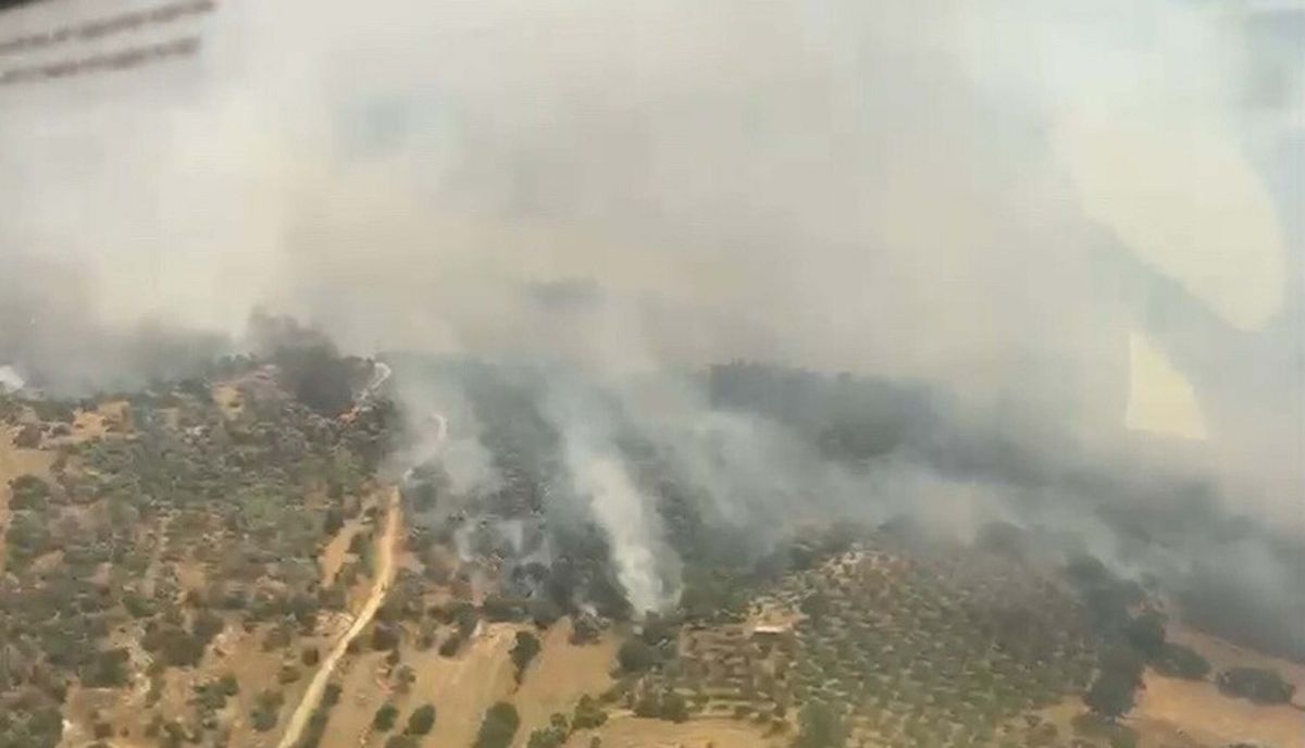 Aydın'da tarım arazisinde yangın