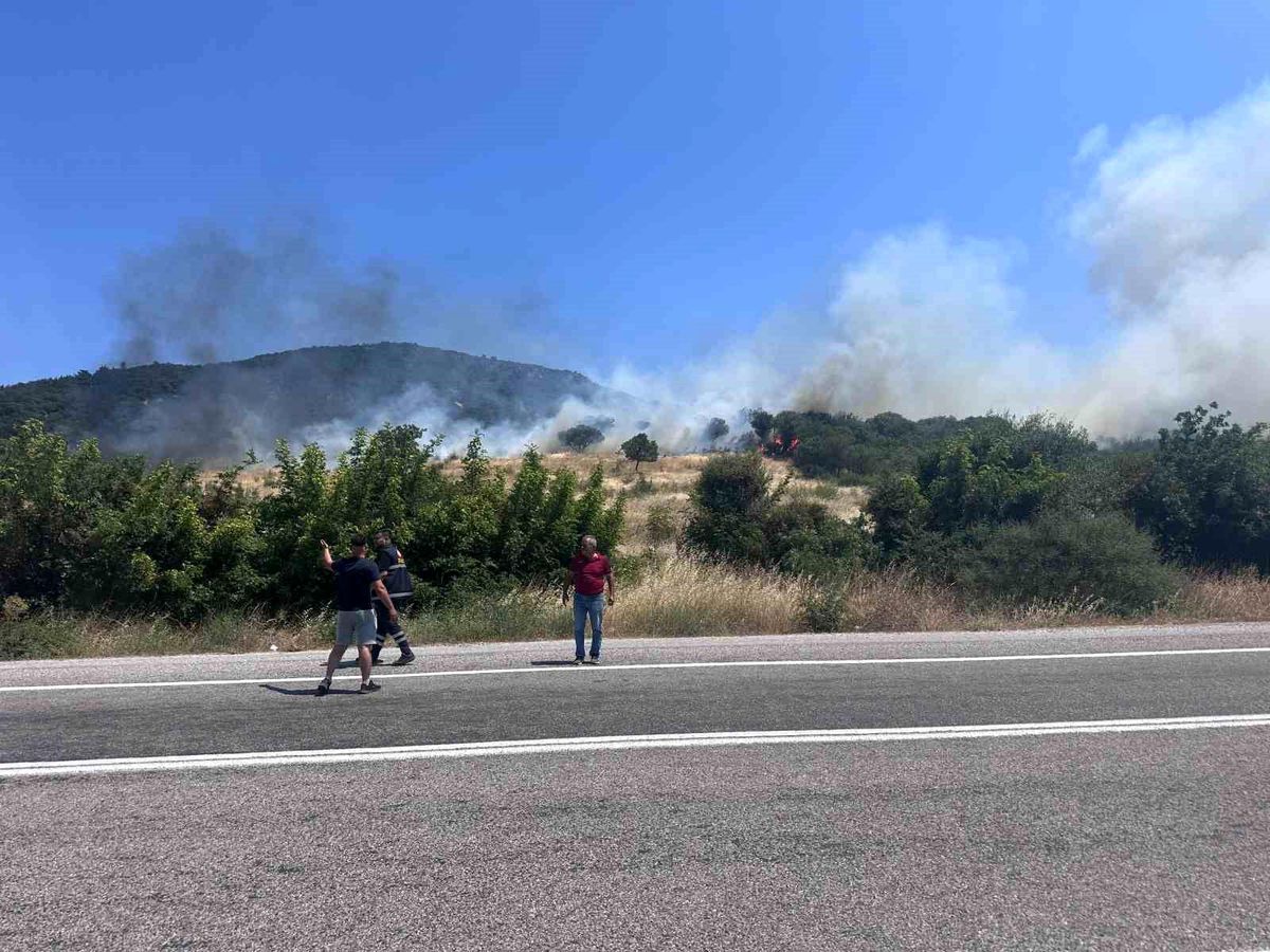 Ayvacık'ta orman yangını
