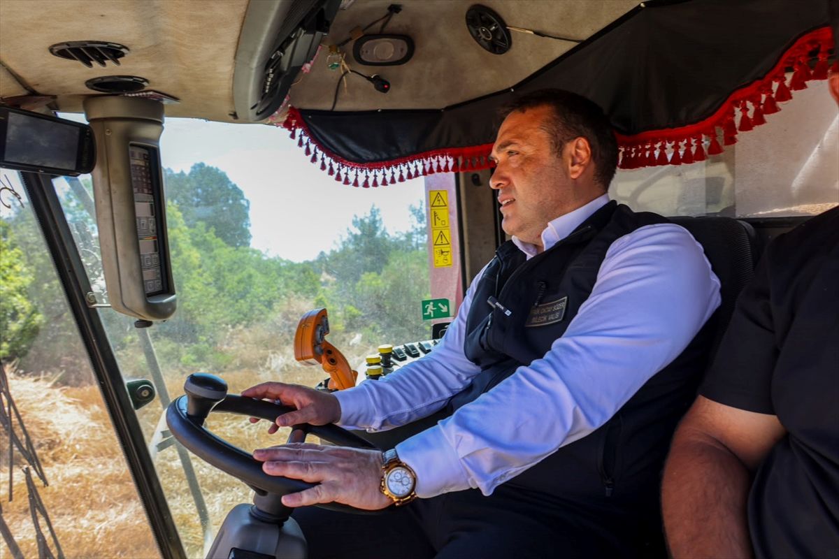Bilecik Valisi Faik Oktay Sözer, çiftçilerle birlikte buğday hasadına katılıyor ve biçerdöver kullanıyor.