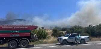 Çanakkale'de ormanlık alanda çıkan yangın söndürüldü