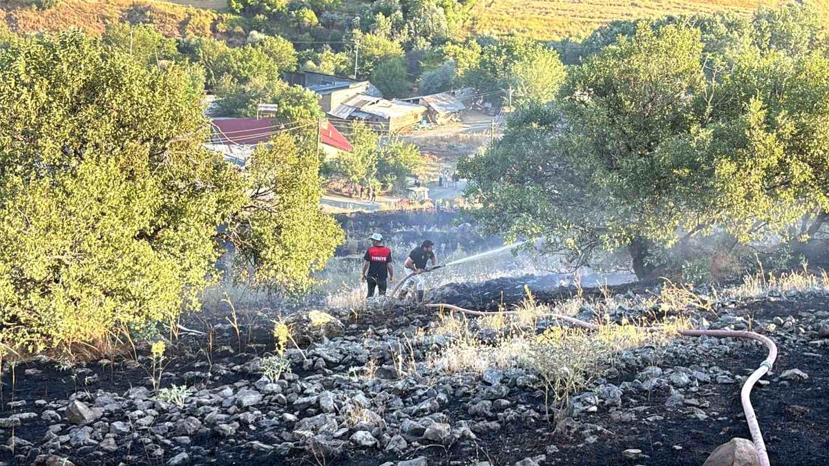 Elazığ'da otluk arazide çıkan yangın söndürme çalışmaları