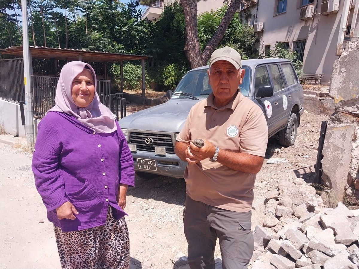 Gelibolu'da bulunan yaralı baykuş yavrusu