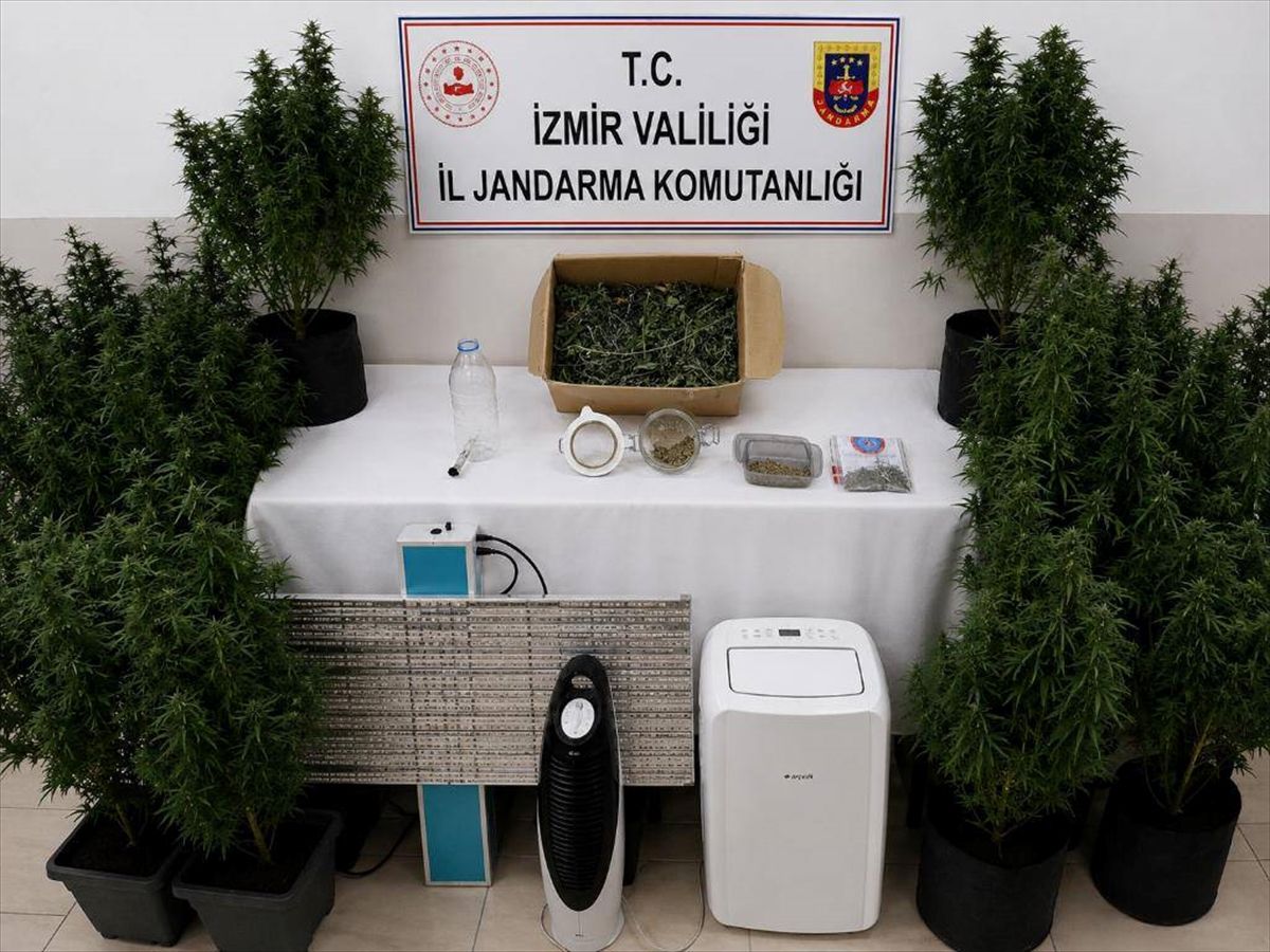 İzmir'de hükümlünün yatak odasında uyuşturucu serası bulundu