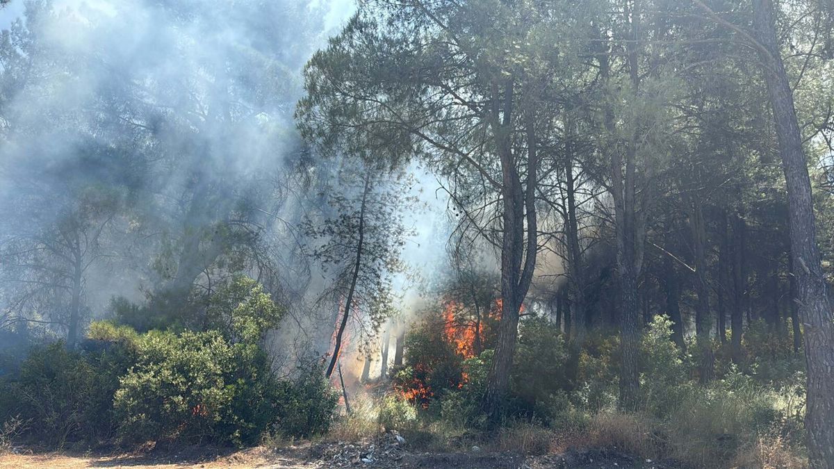 İzmir'in 2 ilçesindeki orman yangınlarına ilişkin 2 gözaltı