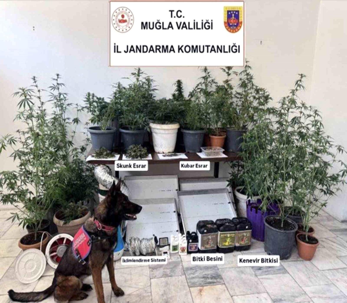 Jandarma ekiplerinin uyuşturucu ve sahte alkol denetimleri sürüyor