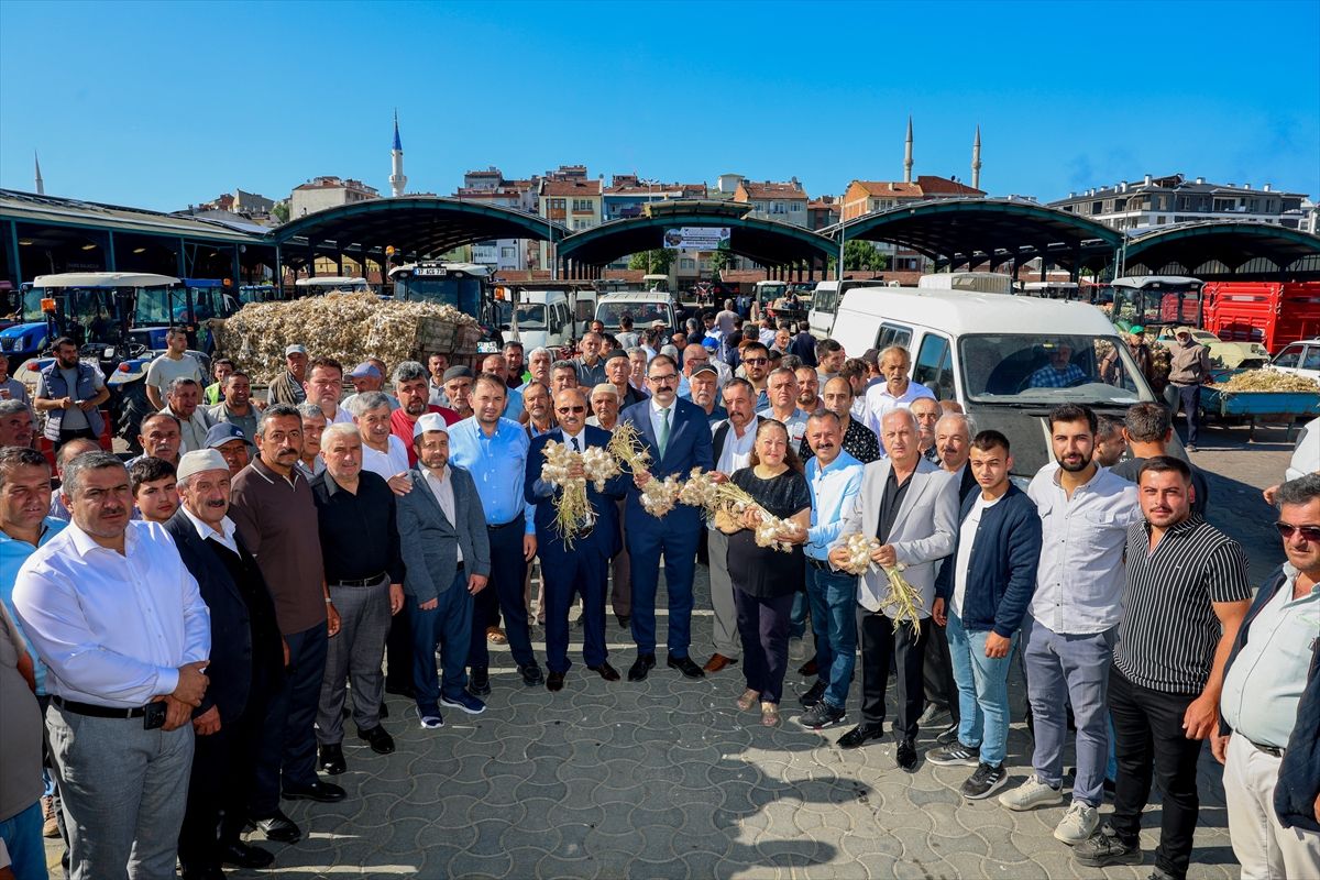 Kastamonu'da hasadın başlamasının ardından Taşköprü Sarımsak Pazarı açıldı