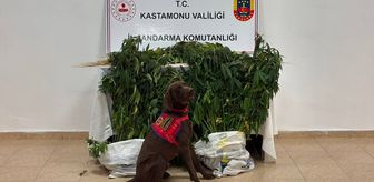Kastamonu'da uyuşturucu operasyonunda 3 zanlı tutuklandı