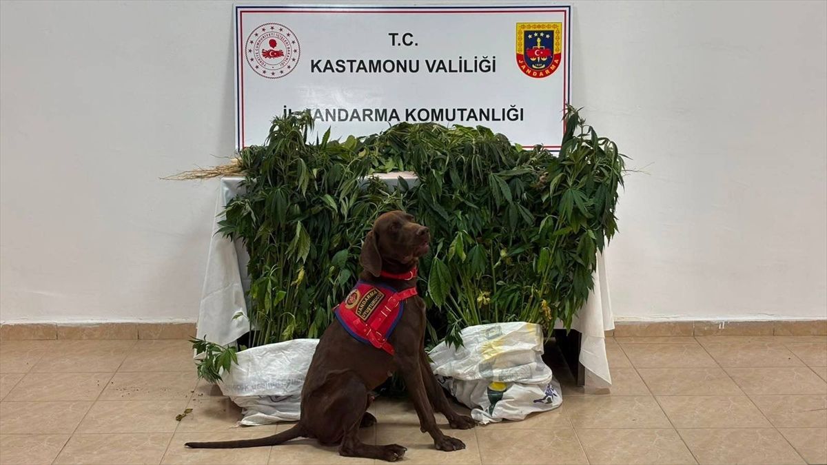 Kastamonu'da uyuşturucu operasyonunda 3 zanlı tutuklandı