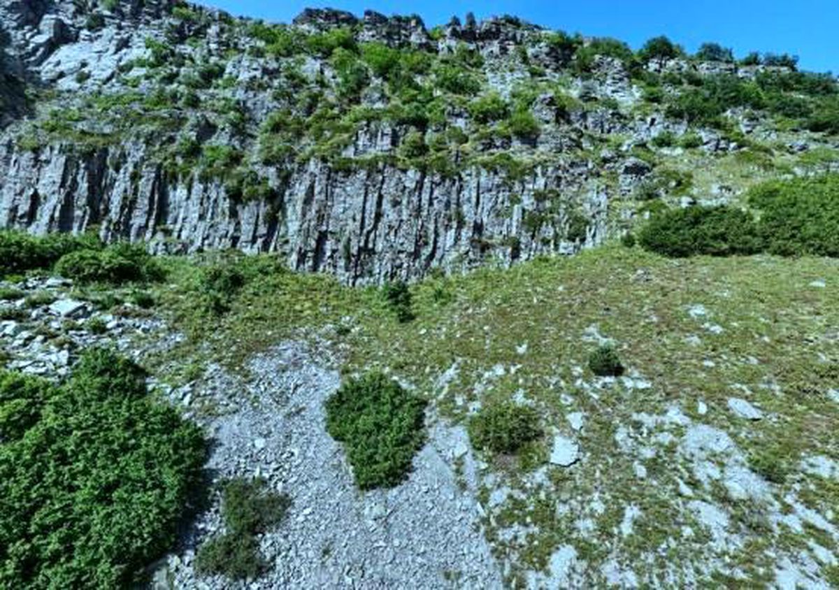 Kraliçe Tamara'nın gizemli mezarı için Posof iddiası gündemde
