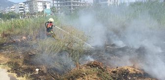 Mersin'de sazlık alanda çıkan yangın söndürüldü