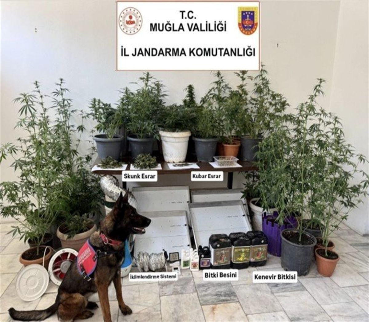 Muğla'da haziran ayındaki uyuşturucu operasyonlarında yakalanan 118 şüpheliden 6'sı tutuklandı