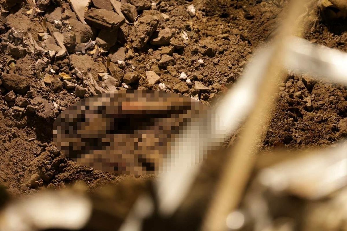Rusya'nın Ukrayna saldırılarında can kaybı 29'a yükseldi
