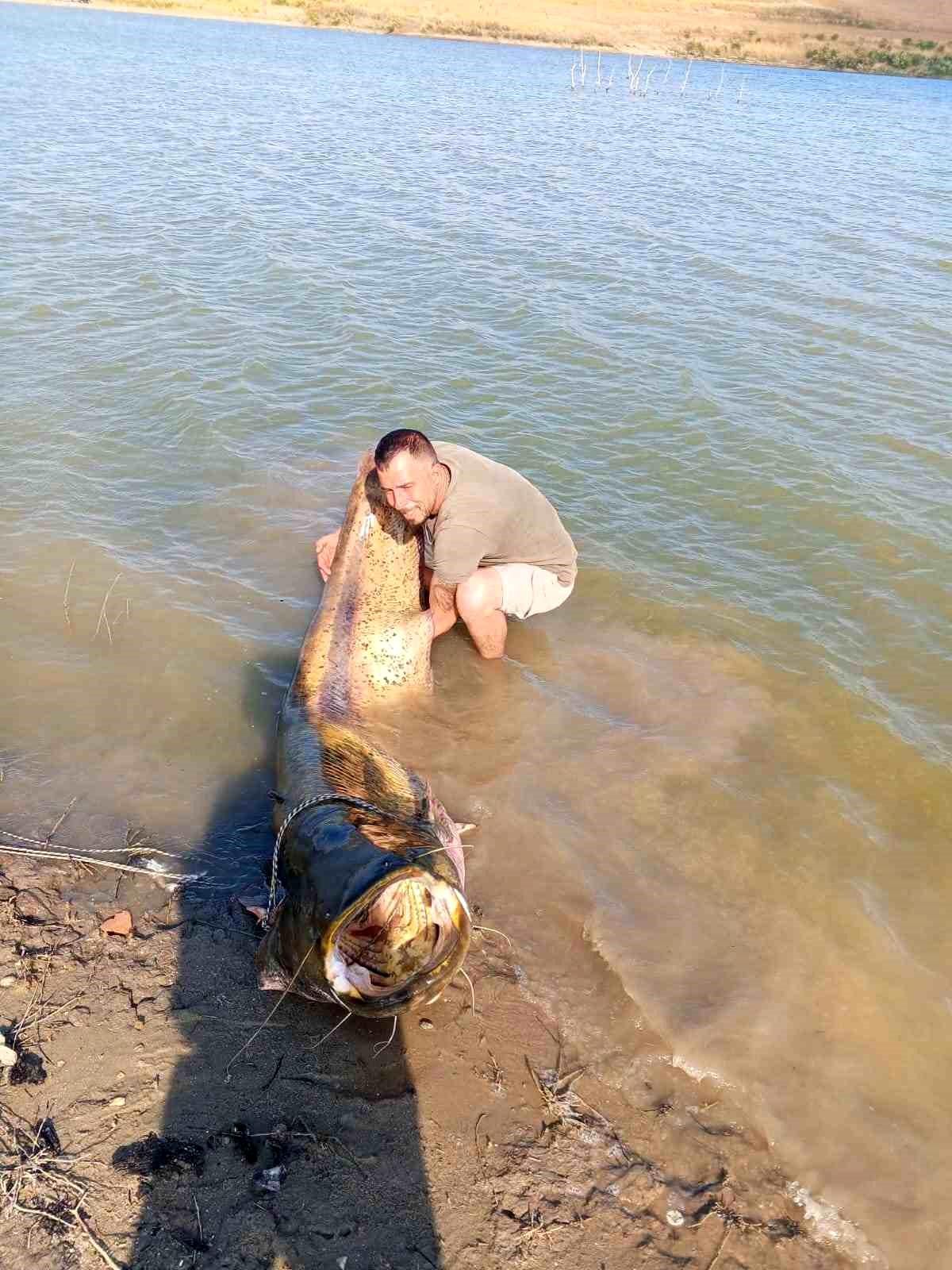 Tekirdağ'da amatör balıkçı Yakup Dişli'nin yakaladığı dev yayın balığı.