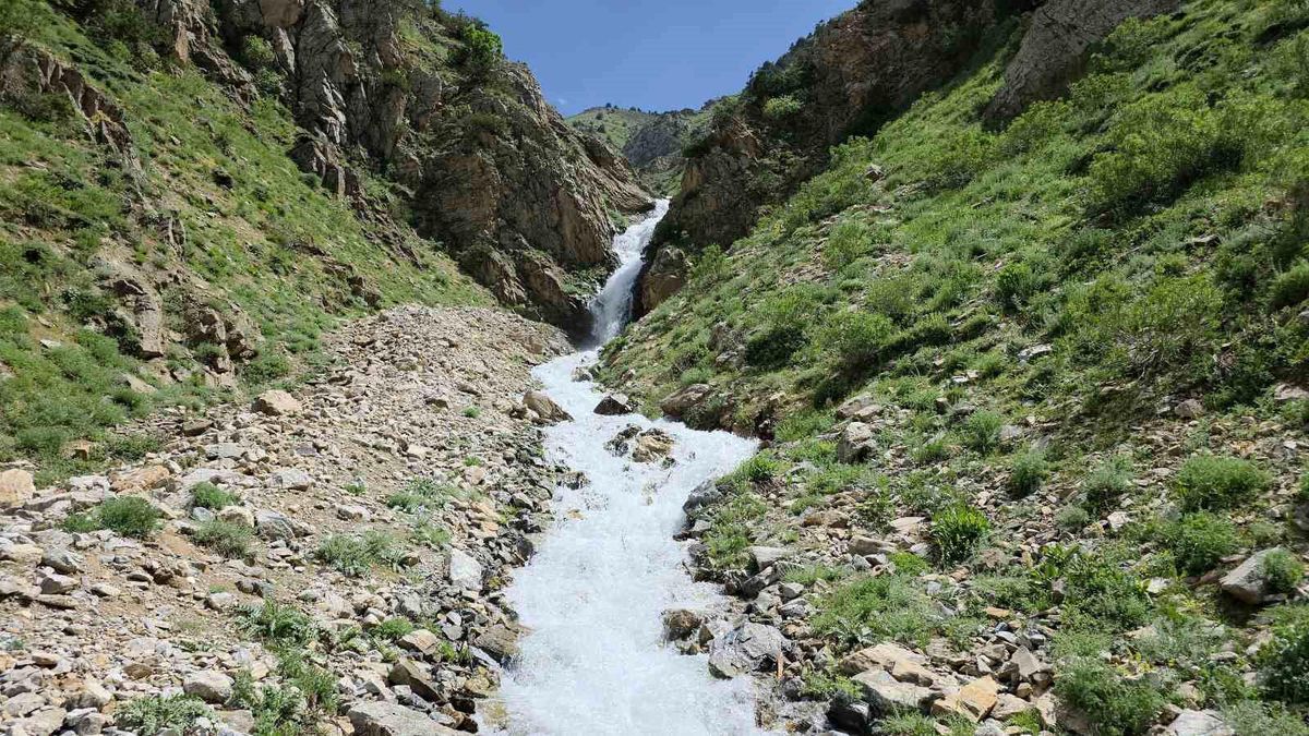 20 yıl sonra yeniden hayat buldu: Çatak'ta kuruyan su kaynağı akmaya başladı