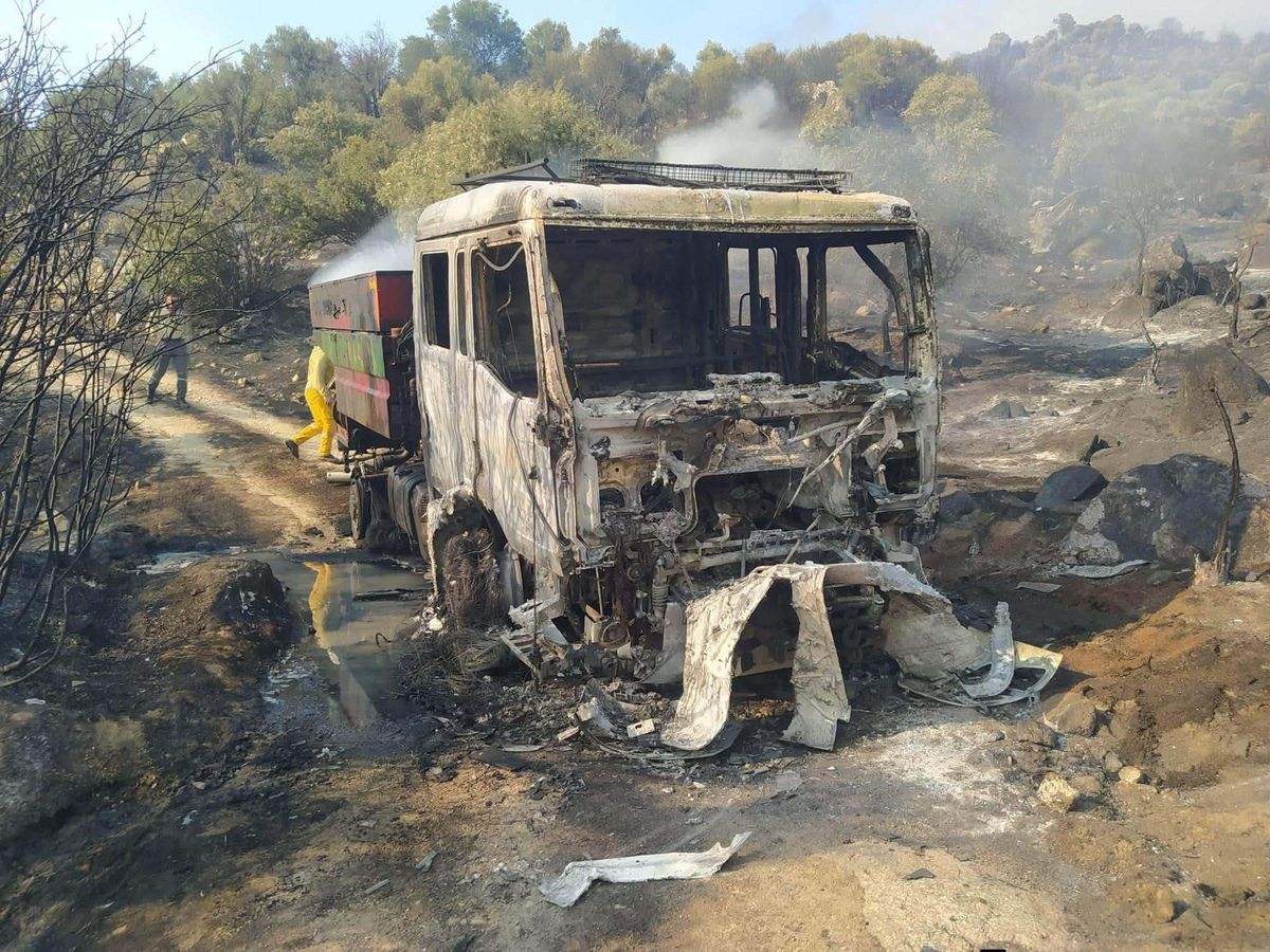 Aydın'daki yangında 100 hektar zeytinlik zarar gördü