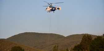 Bilecik'te çıkan orman yangınına müdahale ediliyor