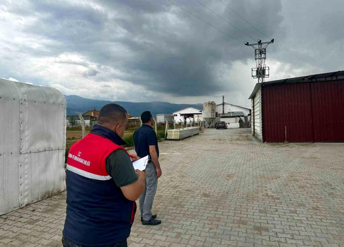 Afyonkarahisar Başmakçı'da bir kanatlı hayvan işletmesinde görevliler denetim yapıyor.