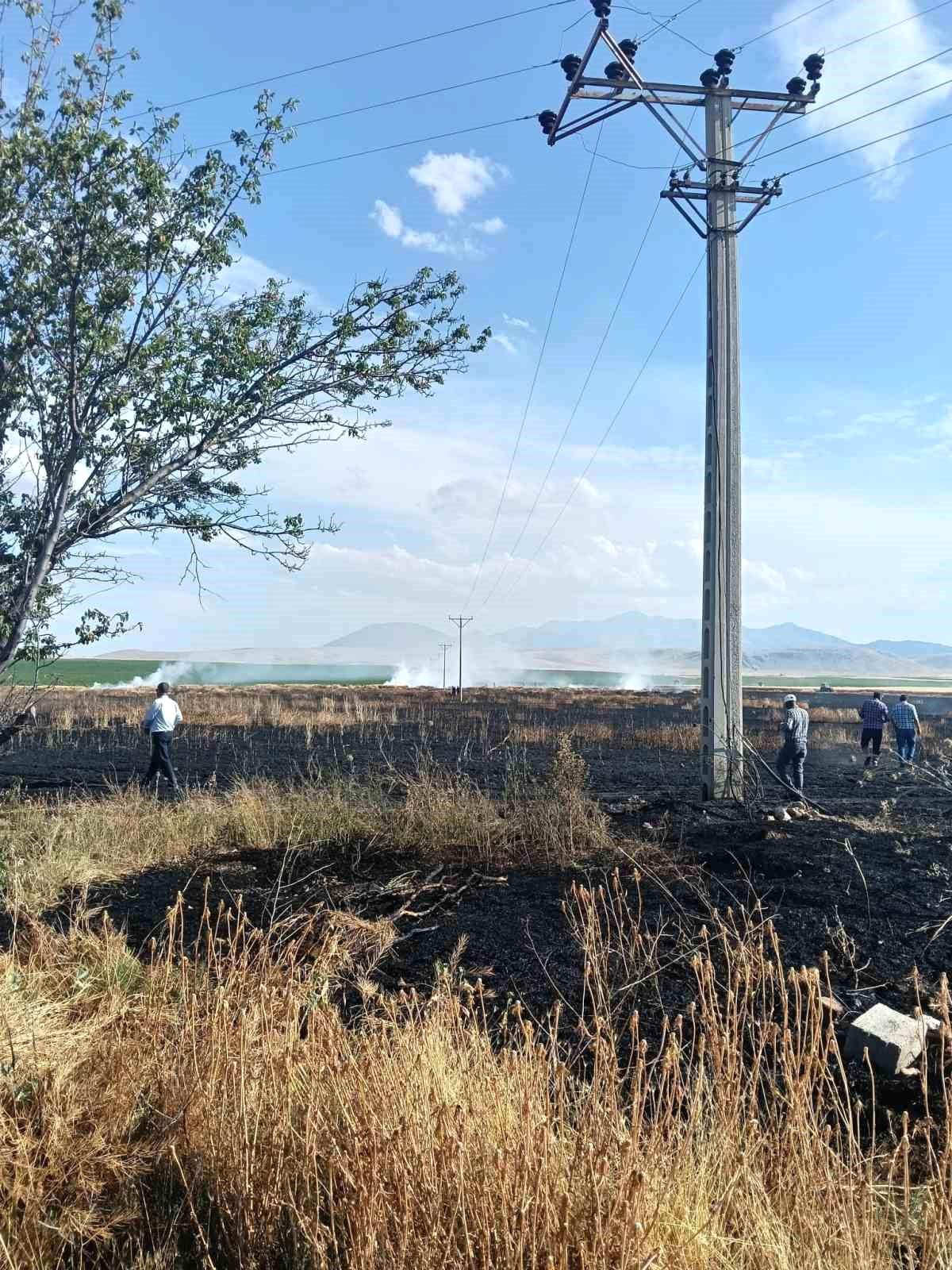 Karapınar'da buğday ekili tarlada yangın paniği