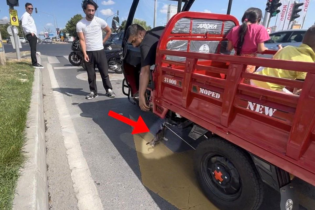 Çorlu'da motosikletin altına giren yavru kedi, duyarlı bir sürücü tarafından güvenli bir alana taşınıyor.