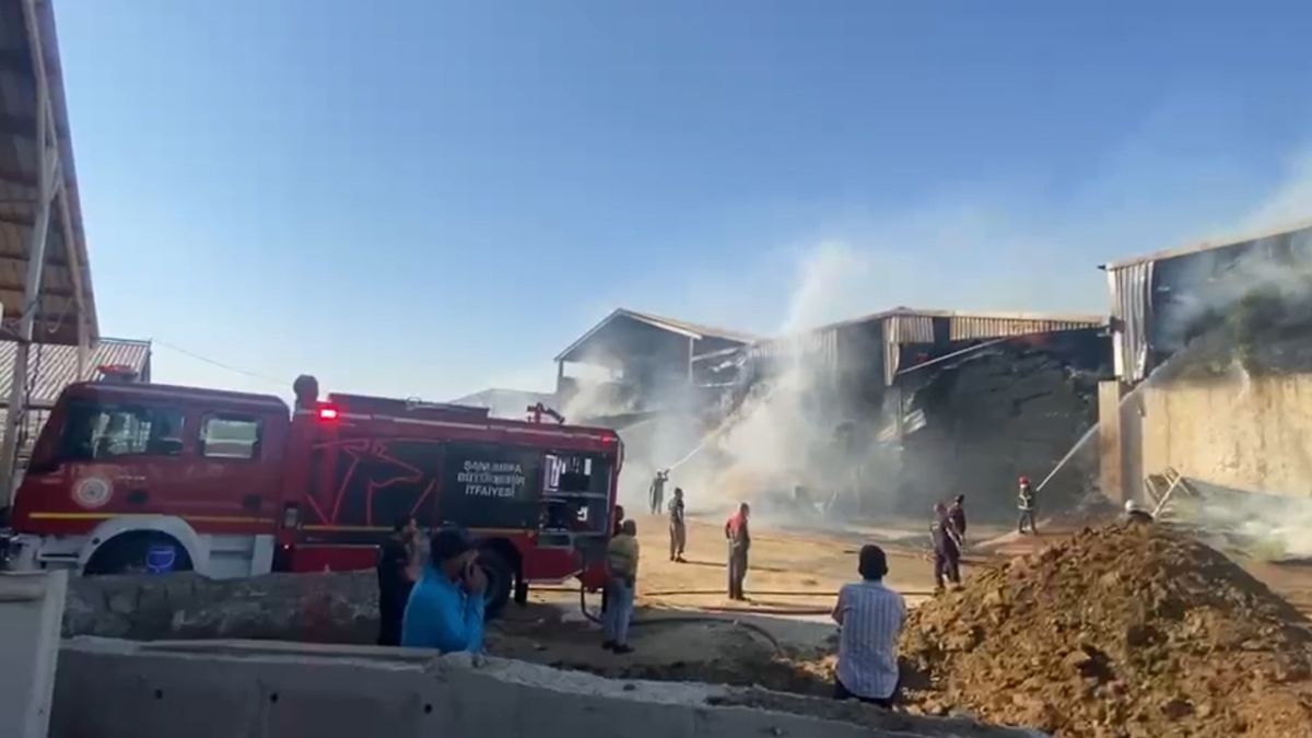 Şanlıurfa'da bir besi çiftliğinde çıkan yangında saman ve yem balyları küle döndü.