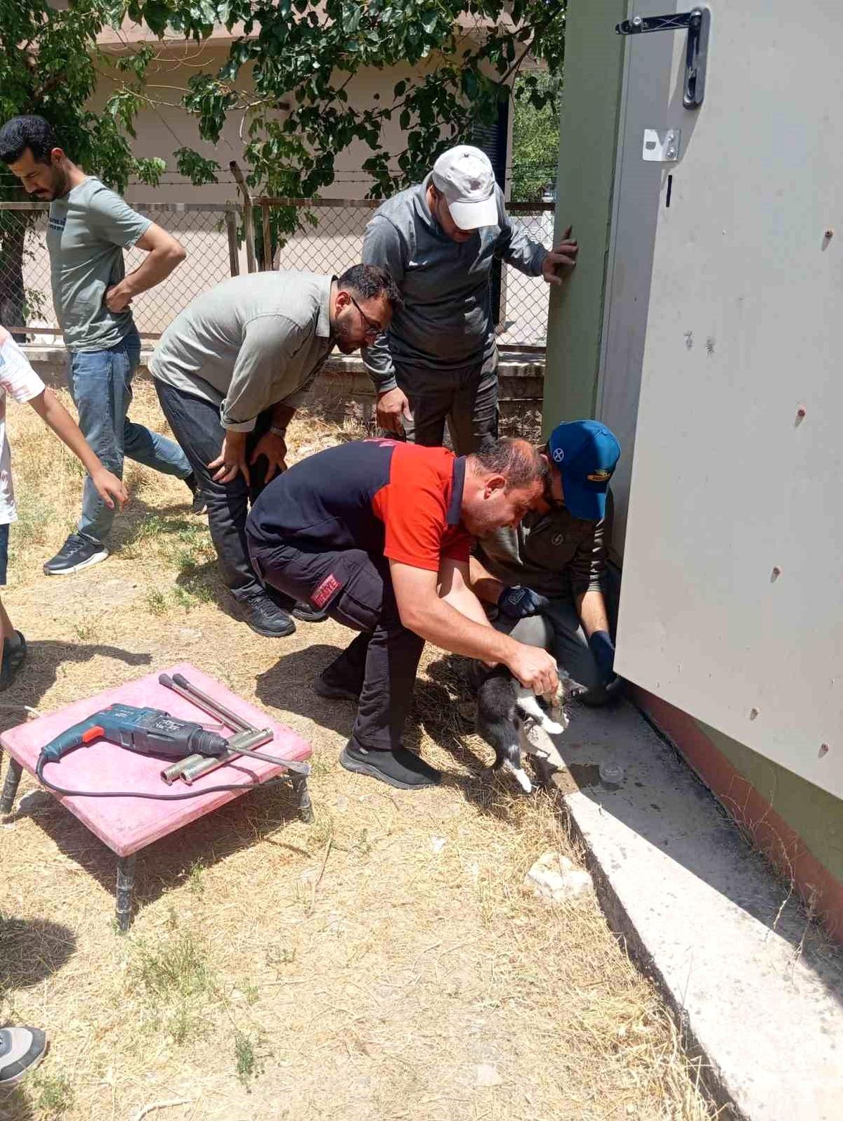 Trafo deliğine başı sıkışan kedi itfaiye ekiplerince kurtarıldı