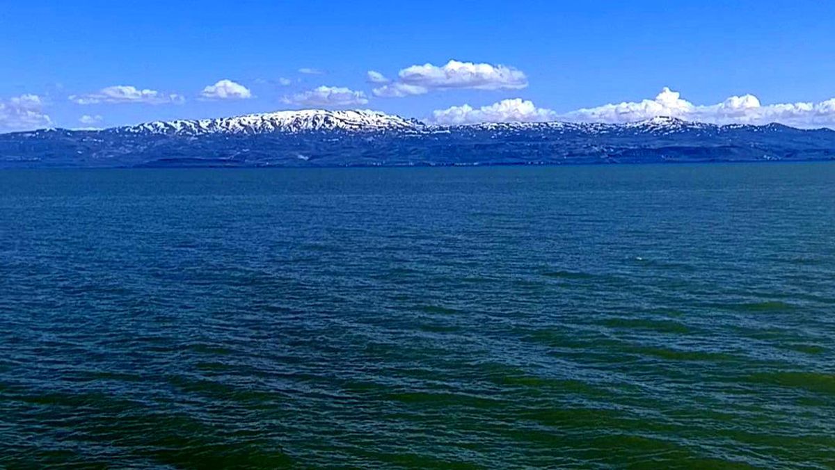 Van Gölü'nde yüzmek yasaklandı