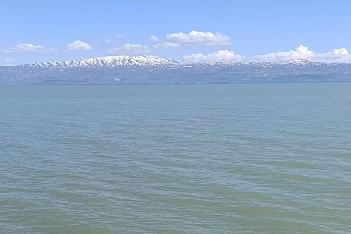 Van'ın Muradiye ilçesinde suya girmek tamamen yasaklandı