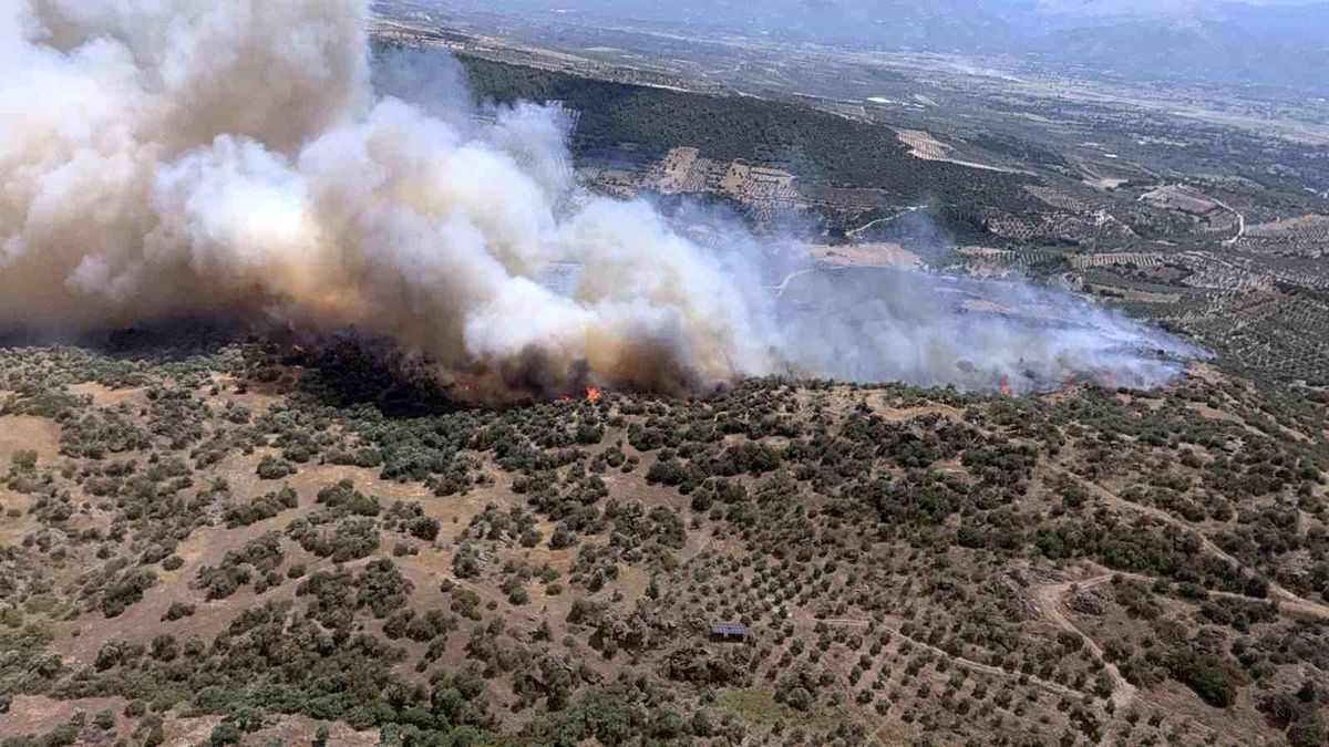 Yazıkent'te yangını büyüten rüzgar bugün de etkisini sürdürecek