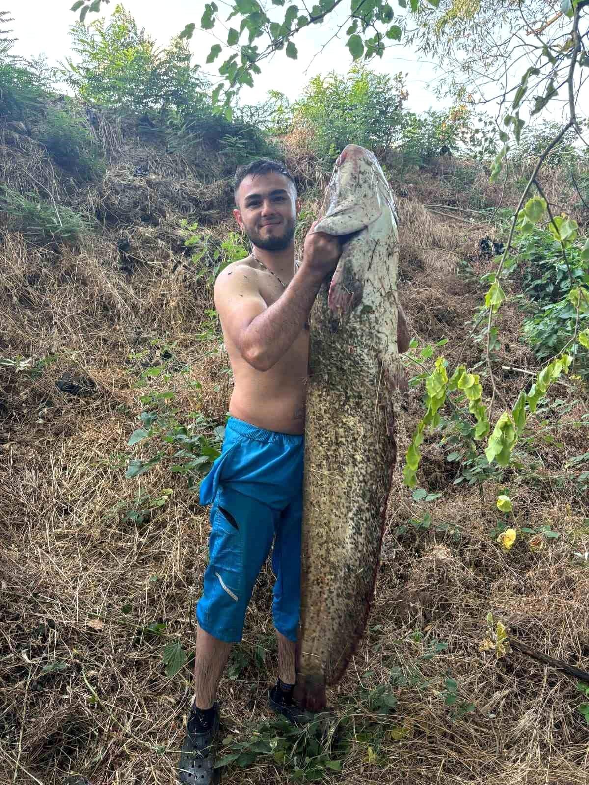 Osmaneli'de Sakarya Nehri'nde yakalanan 40 kilogramlık yayın balığı