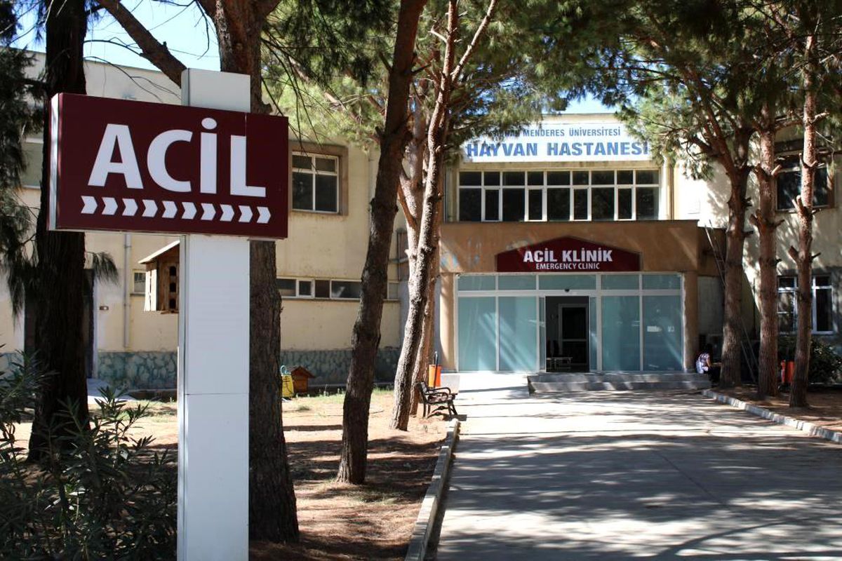 ADÜ Hayvan Hastanesi'nde online randevu dönemi başladı