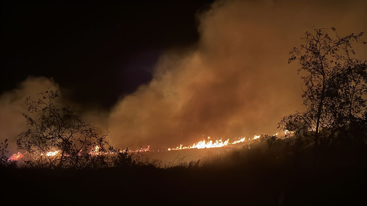 Bodrum'da makilik ve otluk alanda çıkan yangın alanından görüntüler.