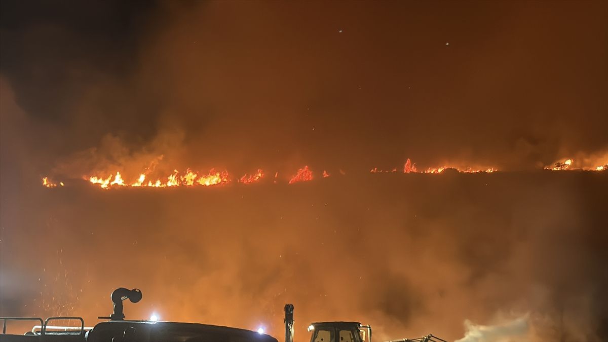 Bodrum'da makilik alanda çıkan yangına itfaiye ekipleri müdahale ediyor.