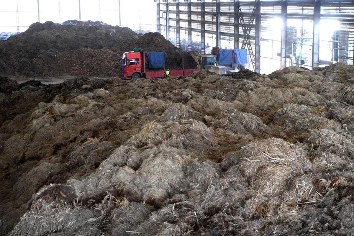 Laboratuvar ortamında biyokömür üretimi