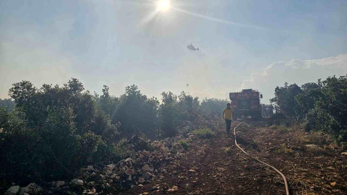 Gaziantep'te çıkan orman yangını havadan ve karadan müdahaleyle söndürüldü