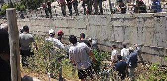 Kahramanmaraş'ta trafik kazası: 3'ü çocuk 4 yaralı