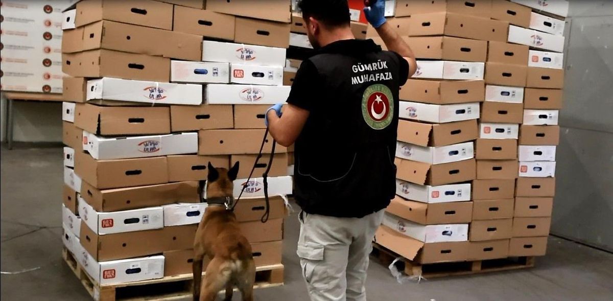 Kapıkule'de tavuk kolilerinden uyuşturucu çıktı: 526 kilo esrar ele geçirildi