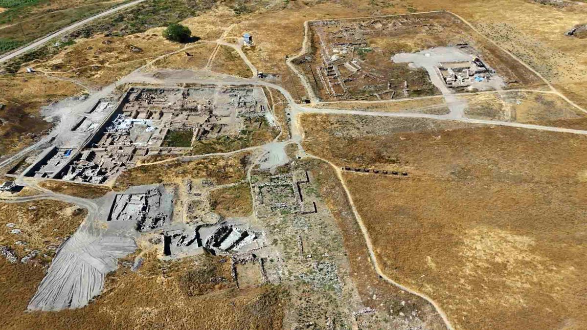 Kayseri'de 5 bin yıl önce zeytin, incir, enginar yetiştirildi