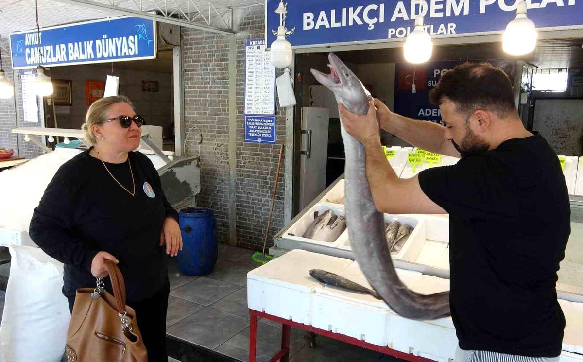 Mersin'de bir balıkçı tezgahında sergilenen yaklaşık 2 metre uzunluğunda ve 20 kilogram ağırlığındaki dev yılan balığı.