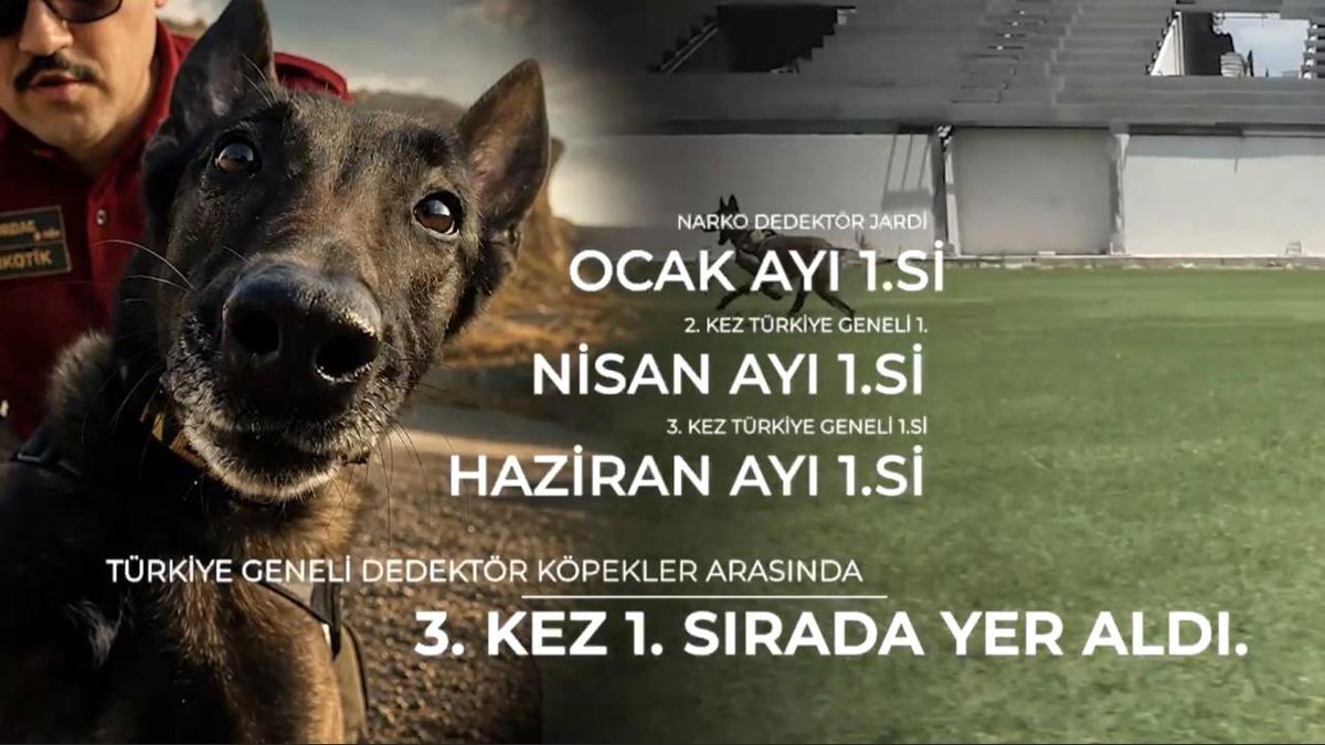 Osmaniye narkotik dedektör köpeği Jardi ödülünü alırken