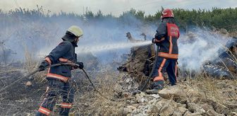 Sakarya'da makilik alanda çıkan yangın söndürüldü