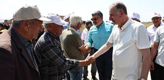 TMO Genel Müdürü Güldal Afyonkarahisar'da incelemelerde bulundu
