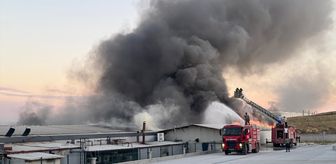 Afyonkarahisar'da fabrikada çıkan yangına müdahale ediliyor