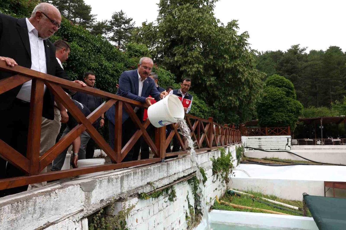 Ayazma Deresi'ne 50 bin kırmızı benekli alabalık yavrusunu bırakıldı
