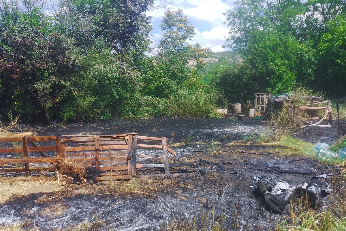 Bilecik'te bir bağ evinin bahçesinde çıkan yangın sonrası itfaiye ekiplerinin müdahalesi.