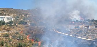 Bodrum'da makilik alanda çıkan yangın söndürüldü