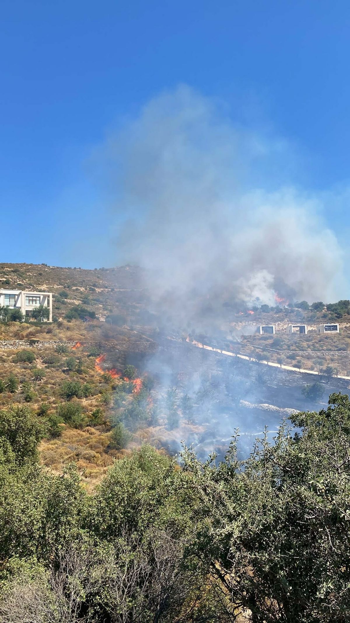 Bodrum'da Otluk ve Makilik Alanda Yangın Çıktı