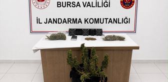 Bursa'da uyuşturucu operasyonunda 3 şüpheli yakalandı