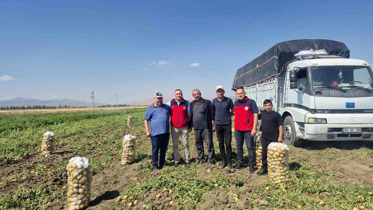 Dinar'da patates hasadı başladı