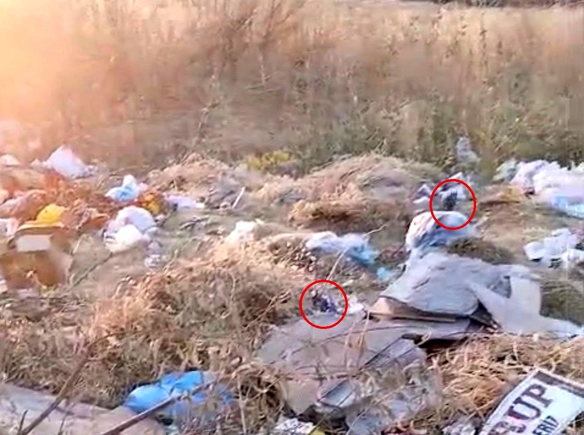 Diyarbakır'da boş arazideki çöpler fare yuvasına döndü