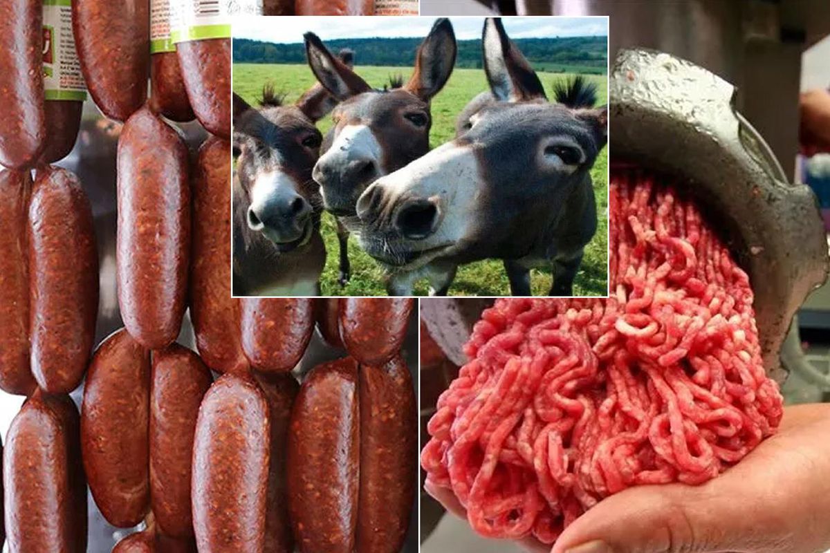İki ilde alarm! Et ürünlerinde mide bulandıran bulgu